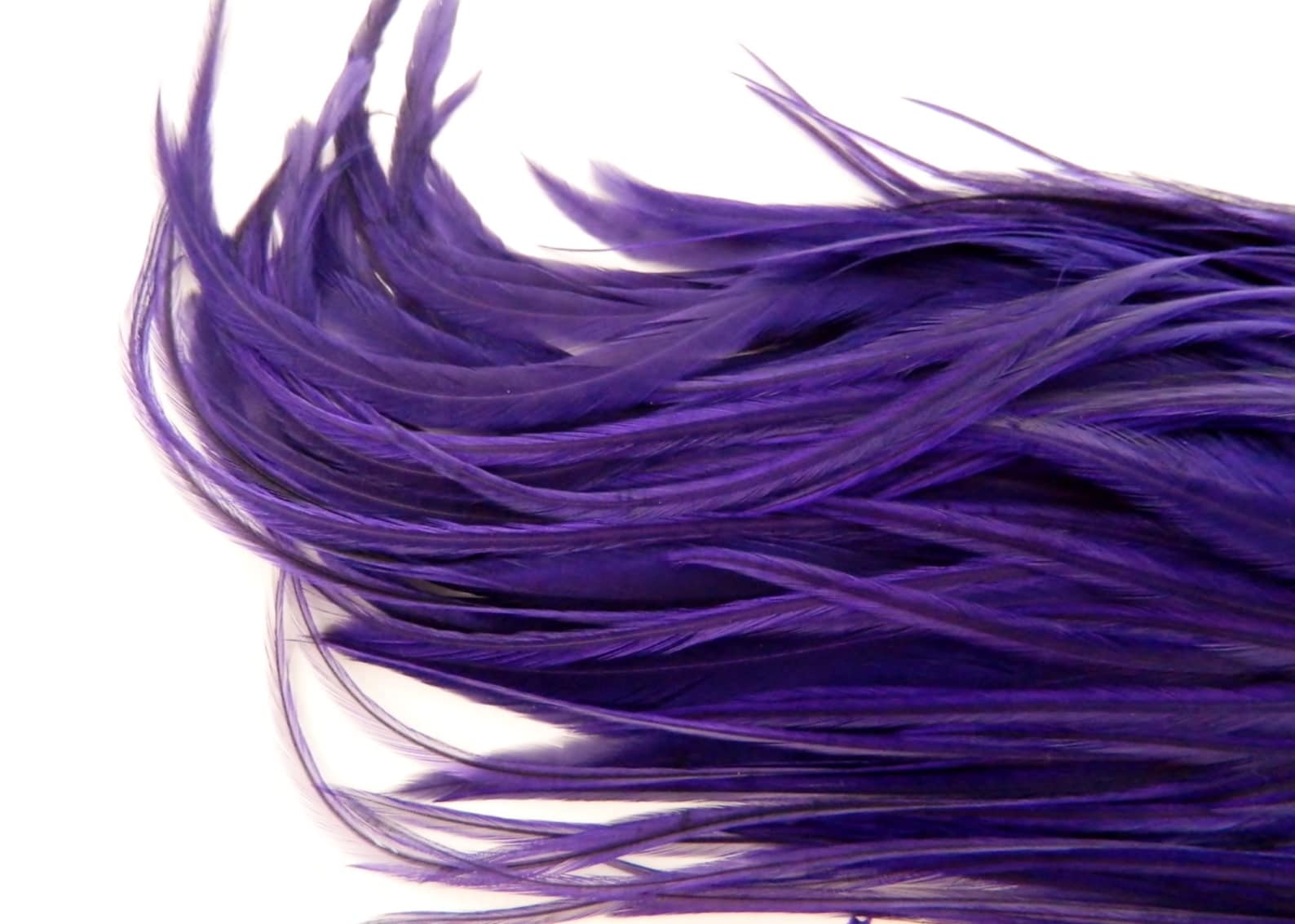 PURPLE WIDE Feather Hair Extension Thick Long Hair Feather Etsy