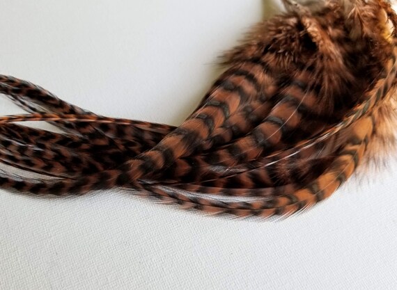 grizzly feather extensions