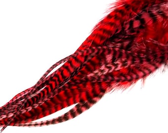 Red Grizzly Feather Hair Extensions, Thick Wide Style.  3 FREE Crimping beads are included.