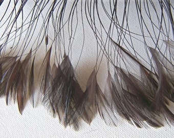 CHOCOLATE BROWN "Eyelash" Feathers, Small Brown Rooster Feathers, Stripped Coque Feathers, Floral Millinery Jewelry Supplies