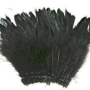 May include: A fan-shaped arrangement of black feathers attached to a horizontal base. The feathers are densely packed, creating a wide, rounded top edge with individual quill tips visible. The texture is soft and layered, displaying a deep black color.