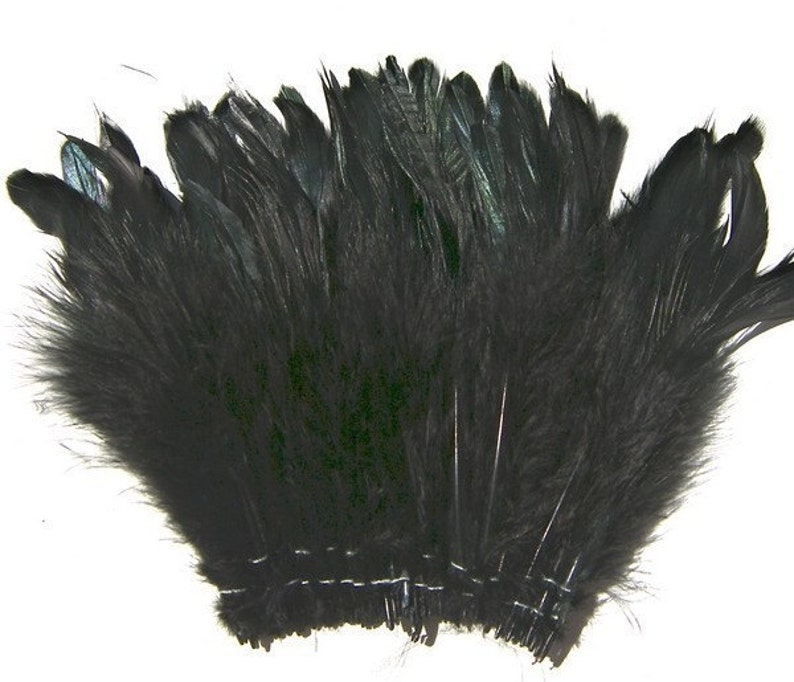 May include: A fan-shaped arrangement of black feathers attached to a horizontal base. The feathers are densely packed, creating a wide, rounded top edge with individual quill tips visible. The texture is soft and layered, displaying a deep black color.