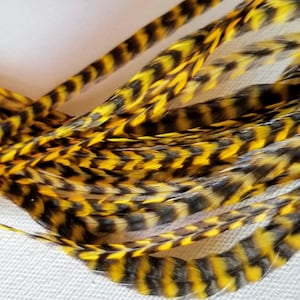 May include: A bundle of black and yellow feathers. The feathers are long and thin, with a striped pattern.
