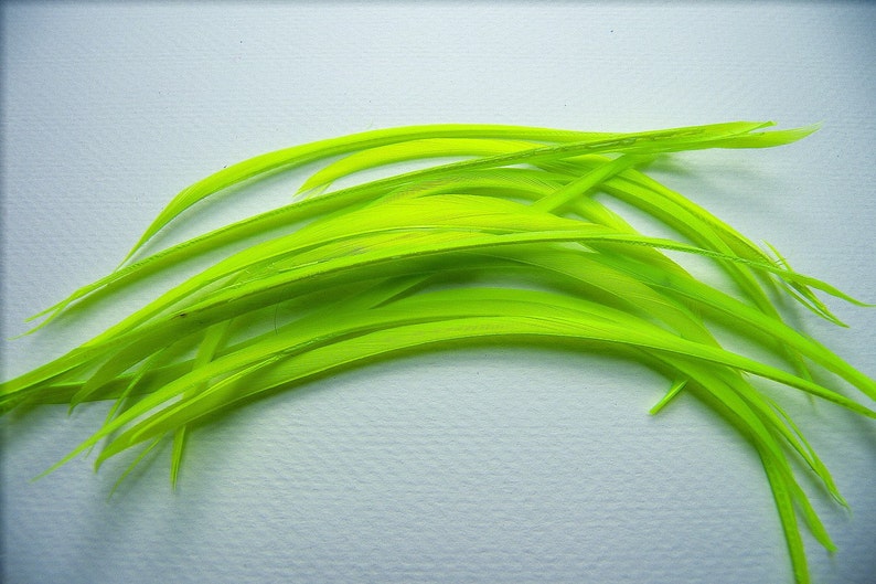 CHARTREUSE BRIGHT GREEN Feather Biots, Costume Millinery Floral Jewelry Supplies image 2