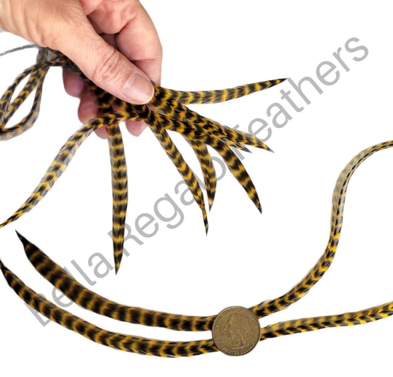 LOOK GOAL 3 Euro Feathers + 3 Beads, Premium Hair Feather Extensions Pick Color Length image 5