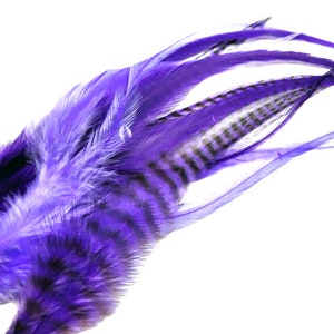 May include: A bunch of purple feathers with black stripes. The feathers are soft and fluffy, and they are arranged in a fan shape.