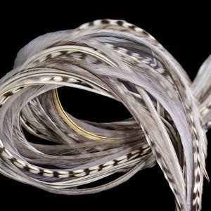 30 HAIR FEATHERS PLUS 20 Beads - 9&quot;-13&quot; Long Skinny Yummy Silver Mix Feather Hair Extensions Bulk Lot
