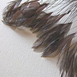 May include: A collection of brown feathers with a slight iridescent sheen. The feathers are arranged in a fan shape, with the tips of the feathers pointing towards the right side of the image.