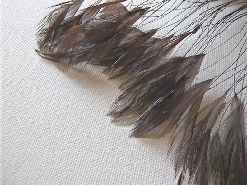 May include: A collection of brown feathers with a slight iridescent sheen. The feathers are arranged in a fan shape, with the tips of the feathers pointing towards the right side of the image.