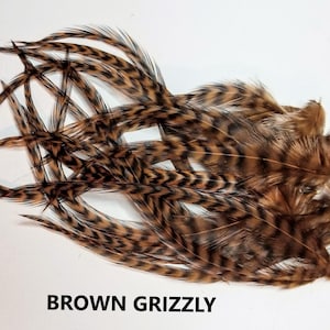 May include: A bunch of brown grizzly feathers with black barring. The feathers are arranged in a loose pile on a white background. The text "BROWN GRIZZLY" is printed below the feathers.