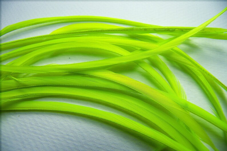 CHARTREUSE BRIGHT GREEN Feather Biots, Costume Millinery Floral Jewelry Supplies image 3