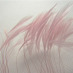 Rooster Eyelash Feathers, PICK YOUR COLOR and Quantity Small Stripped Coque Feathers Millinery Costume Fursuit Bridal Floral Accessories Soft Pink
