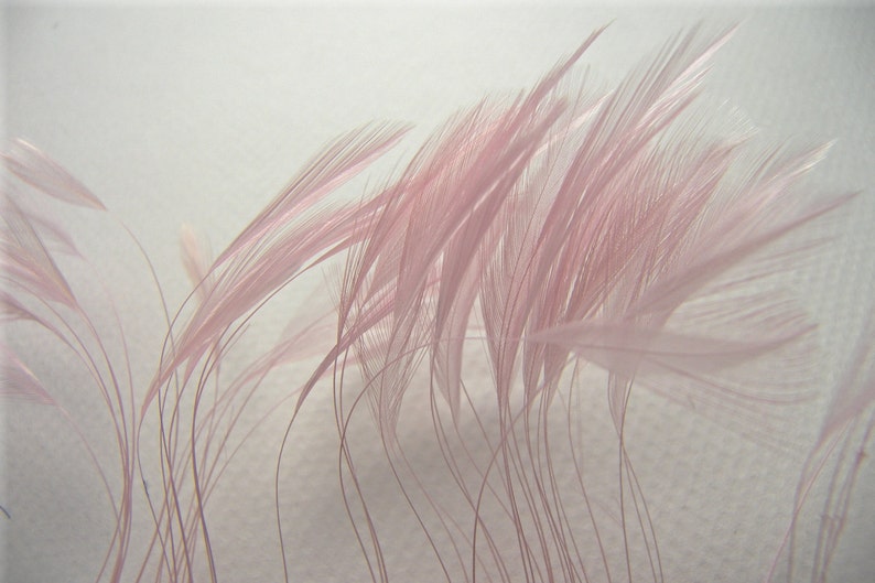 Rooster Eyelash Feathers, PICK YOUR COLOR and Quantity Small Stripped Coque Feathers Millinery Costume Fursuit Bridal Floral Accessories Soft Pink