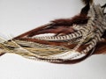 BRUNETTE HIGHLIGHTS Feather Hair Extensions Mix of Golden, Ivory and Brown + 5 Free Crimp Beads, Thick and Thin Feather Combo Packs