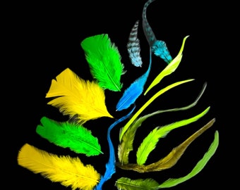 BLUE, GREEN & YELLOW Craft Feather Mix, 2 - 6", Pick Your Quantity, Mix of Solid and Grizzly Craft Feathers for Jewelry, Art, Millinery