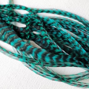 Extension per capelli con piume di grizzly color verde acqua più 2 perline di crimpatura GRATUITE, scegli le extension per capelli con piume di grizzly blu sottili o spesse, qualità da salone