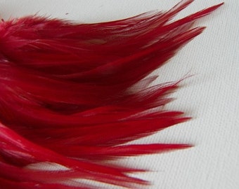 CRIMSON RED Rooster Saddle Feathers 4 to 6 Inches Long