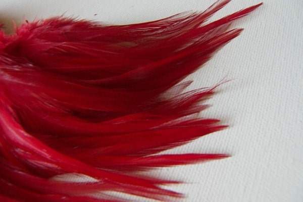 Poppy Red Turquoise Feather Hair Extensions Salon Feathers for Hair Feather Extensions DIY Kit Blue Red Real Feathers Pack of 25