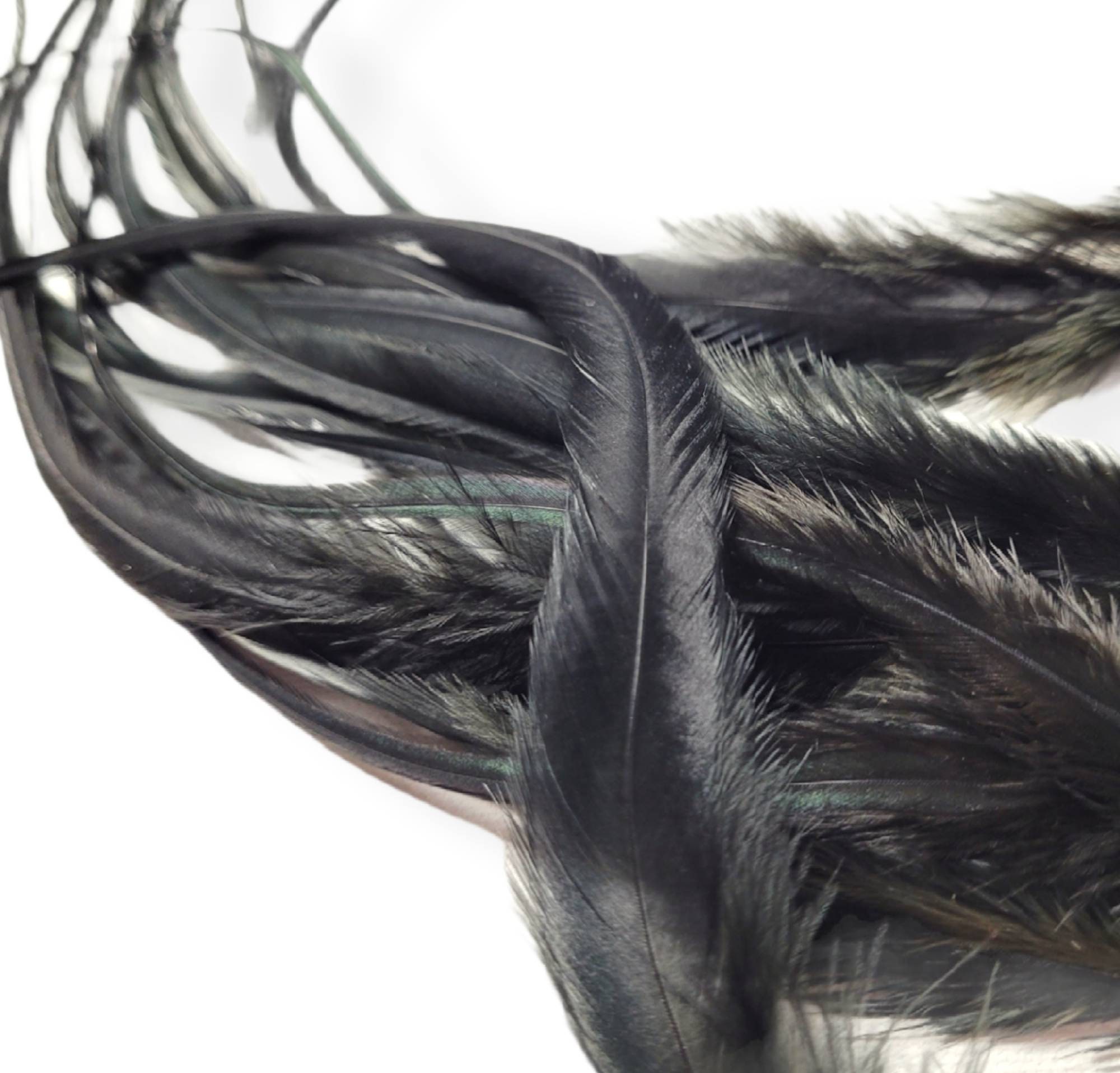 Black Variant Hair Feather Extensions, Pick Your Length up to 16