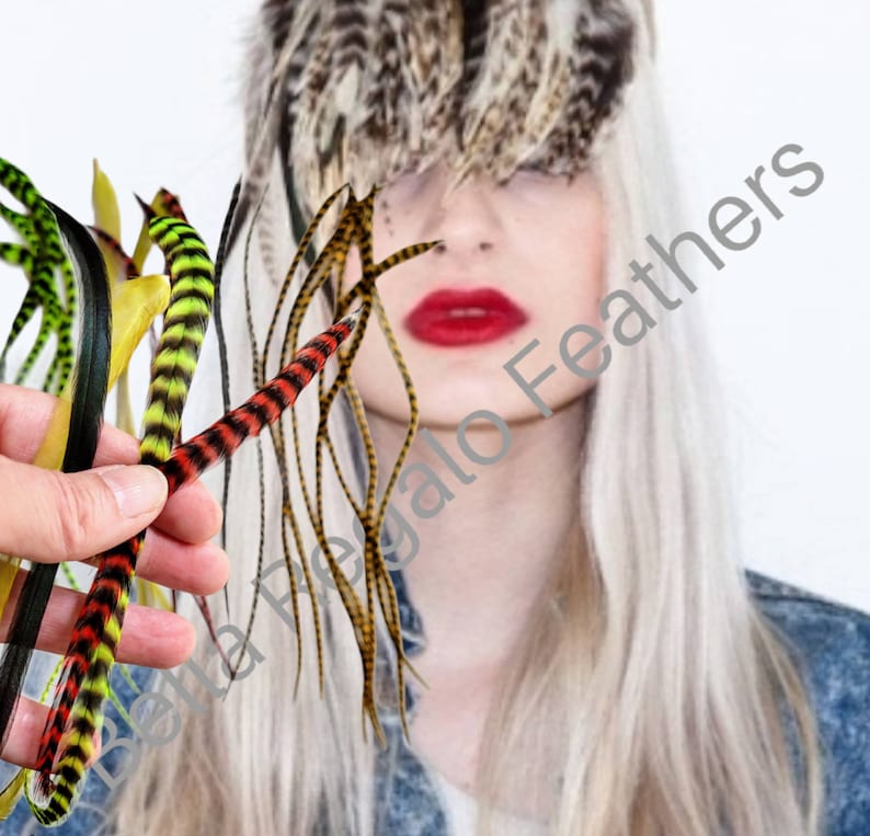 LOOK GOAL 3 Euro Feathers + 3 Beads, Premium Hair Feather Extensions Pick Color Length image 2