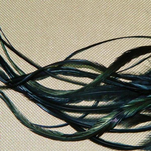 RAVEN BLACK THICK Feathers + 3 Free Crimping Beads,  Long Black Iridescent Hair Feather Extensions, Crow Raven Black Color Rooster Feathers