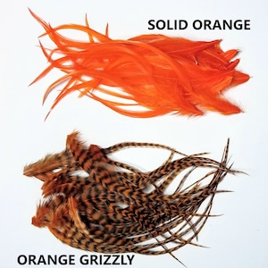 May include: Two bundles of feathers for fly tying. The top bundle is solid orange feathers. The bottom bundle is orange grizzly feathers with black and brown stripes.