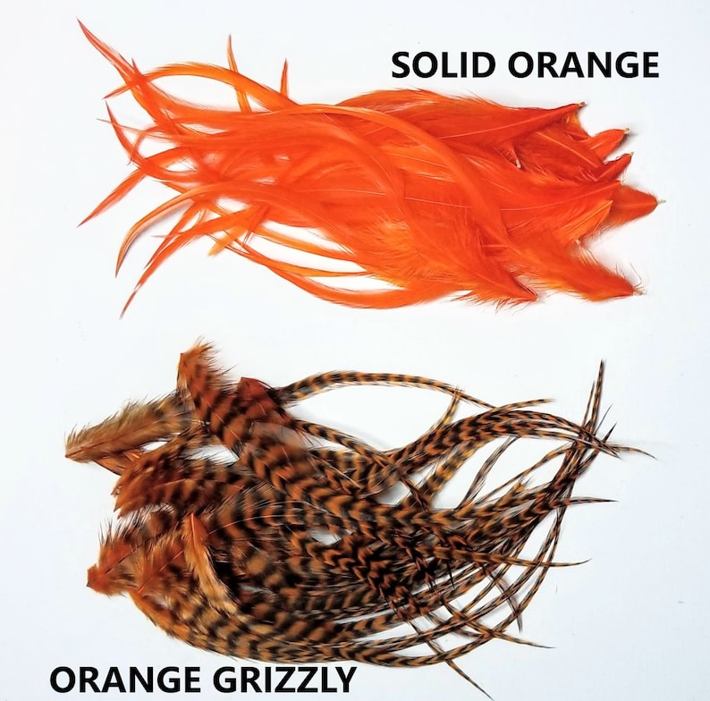 May include: Two bundles of feathers for fly tying. The top bundle is solid orange feathers. The bottom bundle is orange grizzly feathers with black and brown stripes.