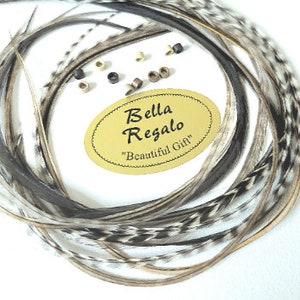 8 XL Hair Feathers 14-15 Inches Long + 8 Beads Yummy Silver Gray Grizzly Mix Skinny Hair Feather Extensions Salon Quality