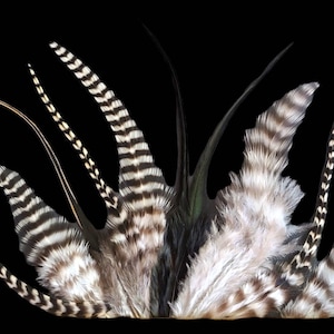 BLACK & WHITE CRAFT Feather Mix, 2 to 5 Inches Long, Pick the Quantity You Want, Black Craft Feathers for Jewelry, Art, Millinery