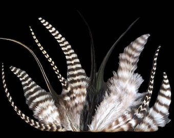 BLACK & WHITE CRAFT Feather Mix, 2 to 5 Inches Long, Pick the Quantity You Want, Black Craft Feathers for Jewelry, Art, Millinery