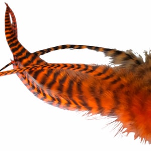 Want Color?  ORANGE Grizzly Thick Feather Hair Extensions PLUS 3 FREE Crimping Beads, Premium Euro Wide Hair feather Extensions