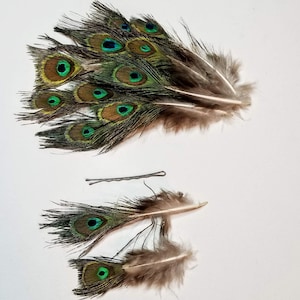 XS PEACOCK EYE Feathers, Rare Miniature Peacock Feathers Extra Small, Tiny Mini Natural Peacock, 2 thru 8" long, Select Quantities