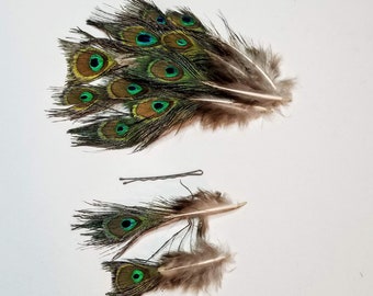 XS PEACOCK EYE Feathers, Rare Miniature Peacock Feathers Extra Small, Tiny Mini Natural Peacock, 2 thru 8" long, Select Quantities
