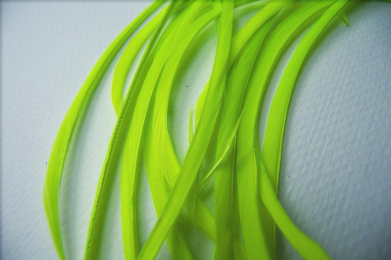 CHARTREUSE BRIGHT GREEN Feather Biots, Costume Millinery Floral Jewelry Supplies image 1