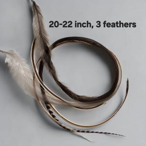 May include: Three long, slender feathers in shades of brown, gray, and cream, arranged in a curved, overlapping pattern. The text 20-22 inch, 3 feathers is clearly visible, indicating the length and quantity of these natural decorative items.