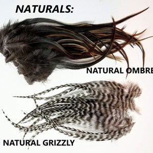 May include: Three bundles of feathers, labeled "Naturals", "Natural Ombre", and "Natural Grizzly". The feathers are various shades of brown, black, and white.