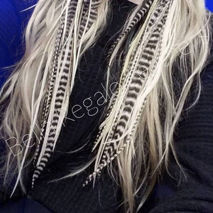 LOOK GOAL - 3 Luxurious Feathers + 3 Beads, Euro Feathers, Extra Wide &quot;Skinny&quot; Feathers You Won&#39;t Find Anywhere Else!  Pick Colors & Lengths