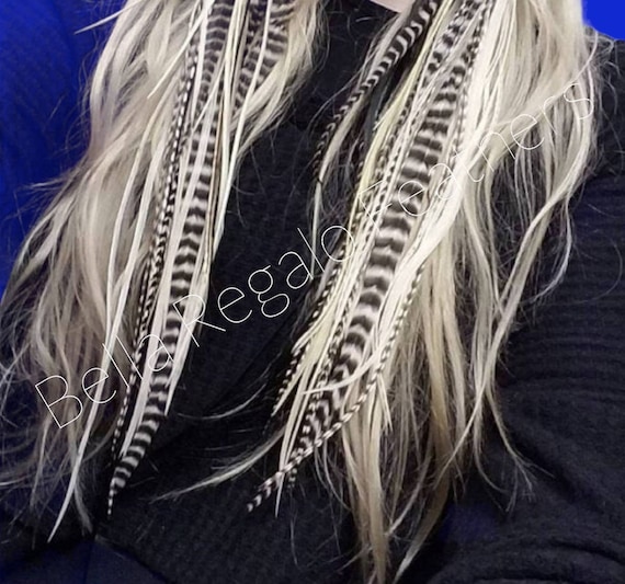 LOOK GOAL - 3 Luxurious Feathers + 3 Beads, Euro Feathers, Extra Wide "Skinny" Feathers You Won't Find Anywhere Else!  Pick Colors & Lengths