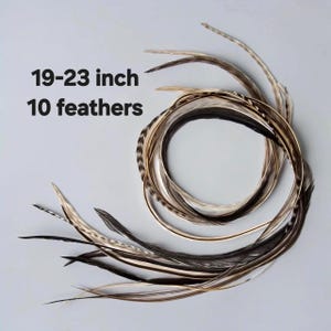 May include: A set of 10 long, slender feathers arranged in a circular pattern. The feathers feature a natural color palette of brown, tan, cream, and black with striped patterns. The text 19-23 inch 10 feathers is clearly visible on the left side.