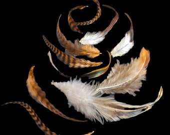 BROWN, TAN & WHITE Craft Feather Mix, 2 - 5", Pick Your Quantity, Mix of Solid and Grizzly Craft Feathers for Jewelry, Art, Millinery