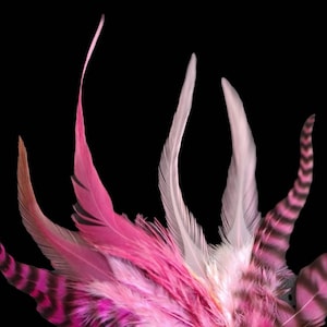 PINK CRAFT FEATHERS Mix, 2 bis 6 Zoll lang, wählen Sie die gewünschte Menge, Solid Pink und Grizzly Craft Federn für Schmuck, Kunst, Hutmacherei