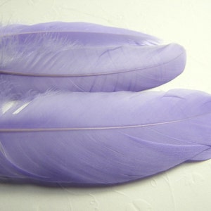 May include: Close-up of two lavender-colored feathers. The feathers have a soft, fluffy texture with a central quill. The feathers are a light purple color and are likely used for crafting or decorative purposes.