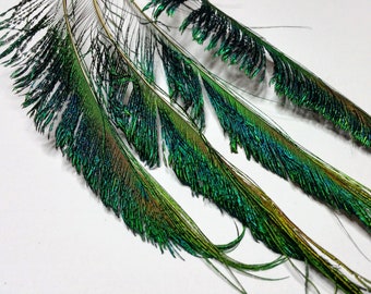 Peacock Feather Sword Spears, Natural Iridescent Feathers, 10" Total Length, Select Quantities