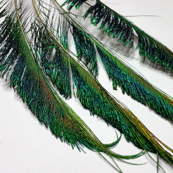 Peacock Feather Sword Spears, Natural Iridescent Feathers, 10" Total Length, Select Quantities