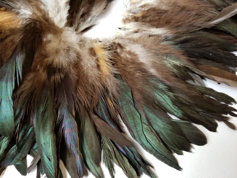 IRIDESCENT NATURAL Black Rooster Coque Feathers Top Stitched Etsy