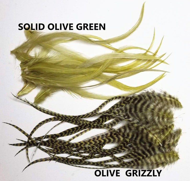 May include: Two bundles of feathers, one solid olive green and one olive grizzly. The olive grizzly feathers have a black and olive green chevron pattern.