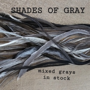 LOOK GOAL 3 Euro Feathers + 3 Beads, Premium Hair Feather Extensions Pick Color Length Yummy Silver Mix