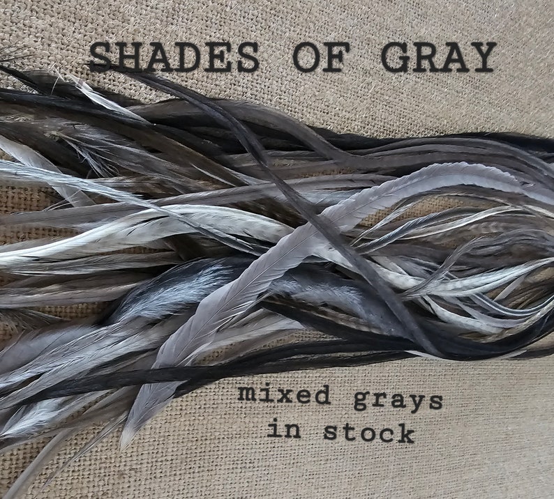 LOOK GOAL 3 Euro Feathers + 3 Beads, Premium Hair Feather Extensions Pick Color Length Yummy Silver Mix