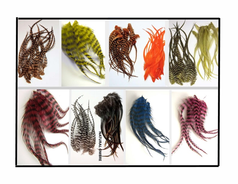 May include: Assortment of pheasant tail feathers in various colors, including black, white, brown, green, orange, red, blue, and pink. The feathers are arranged in rows on a white background. "NATURAL OMBRE" is written in black text on a white background.