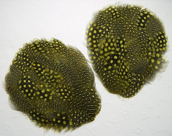 YELLOW Guinea Feather Pads, Black with Yellow Polka Dots, Guinea Feathers